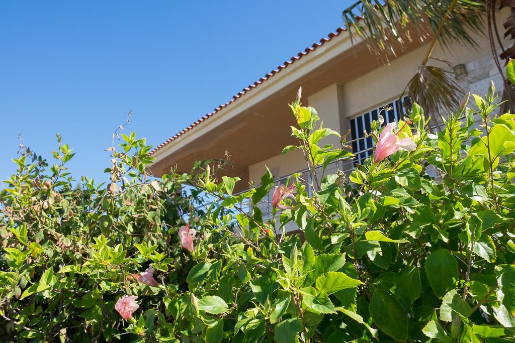 קאטו אלפוחוריון Sunset Beach House מראה חיצוני תמונה